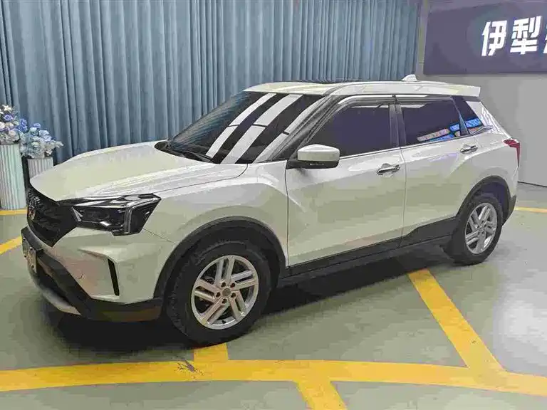 Venucia T60 2022 1.6L Manual Intelligent View Edition