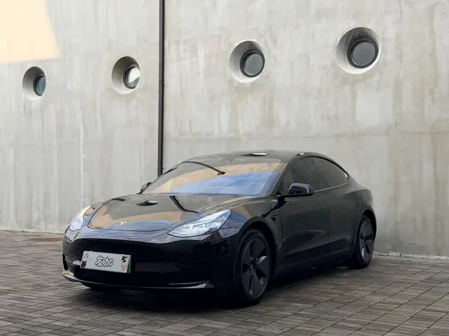 Tesla Model 3 2022 Model Rear-Wheel Drive Version