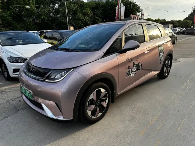 BYD Dolphin 2023 420km Freedom Edition