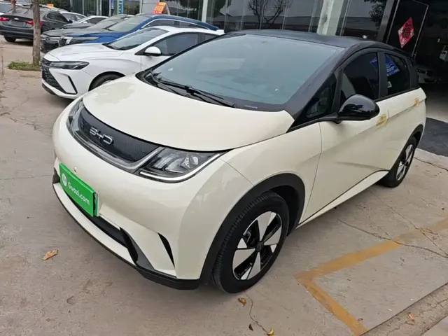 BYD Dolphin 2023 420km Freedom Edition