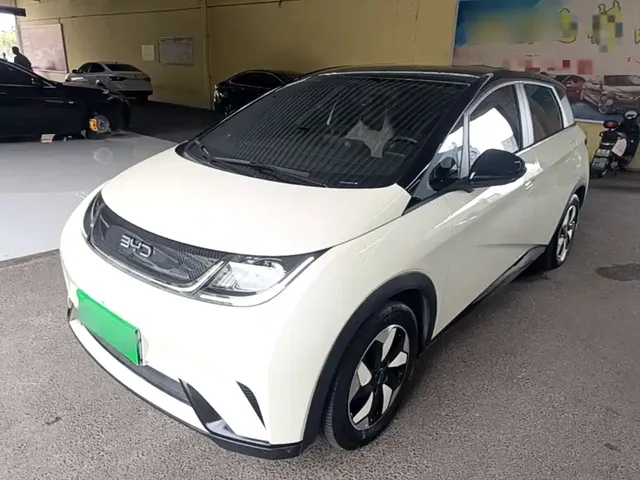 BYD Dolphin 2024 Glory Edition 420km Freedom Edition