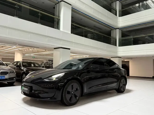 Tesla Model 3 2022 Model Rear-Wheel Drive Version
