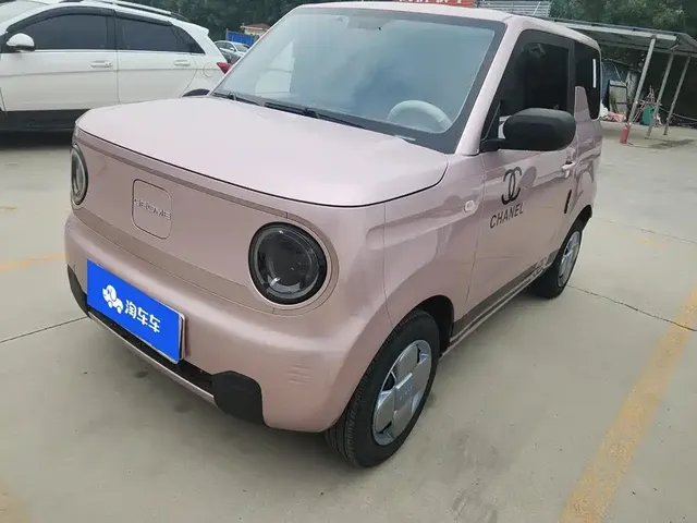 Geely Galaxy Panda 2023 Panda Mini 200km Endurance Bear