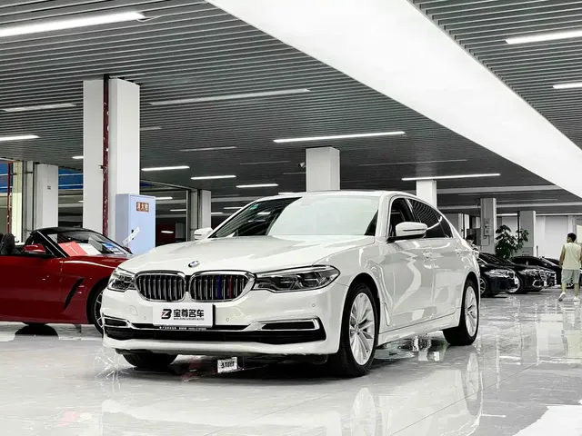 BMW 5 Series 2020 530Li Leading Luxury Package