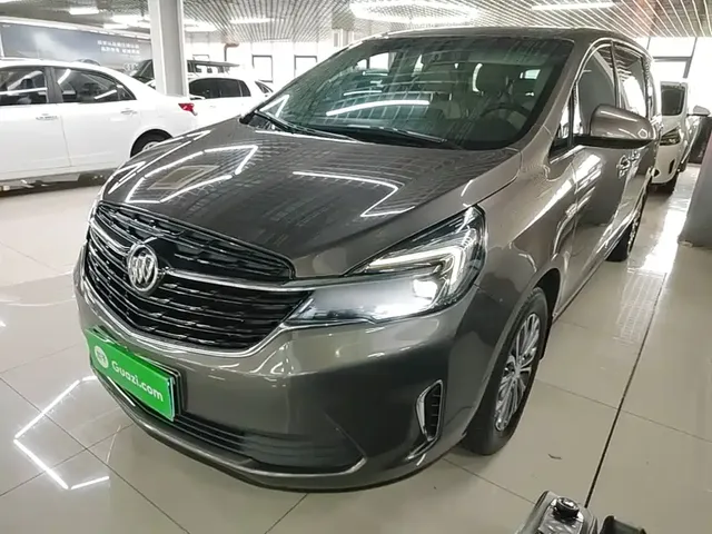 Buick GL8 2020 Model Land Business Class 652T Luxury