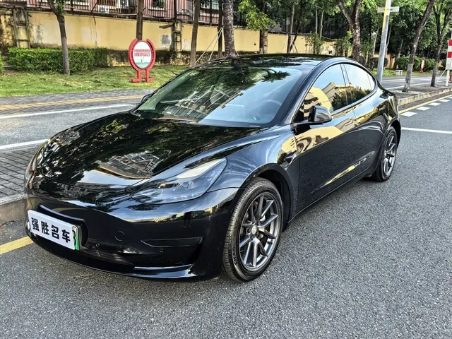 Tesla Model 3 2021 Facelift Standard Range RWD Upgrade 3D1