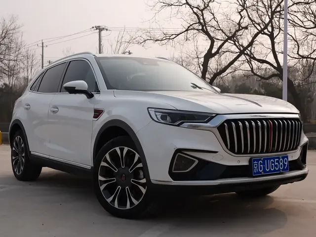 Hongqi HS5 2019 2.0T Smart Connect Enjoy 4WD Edition