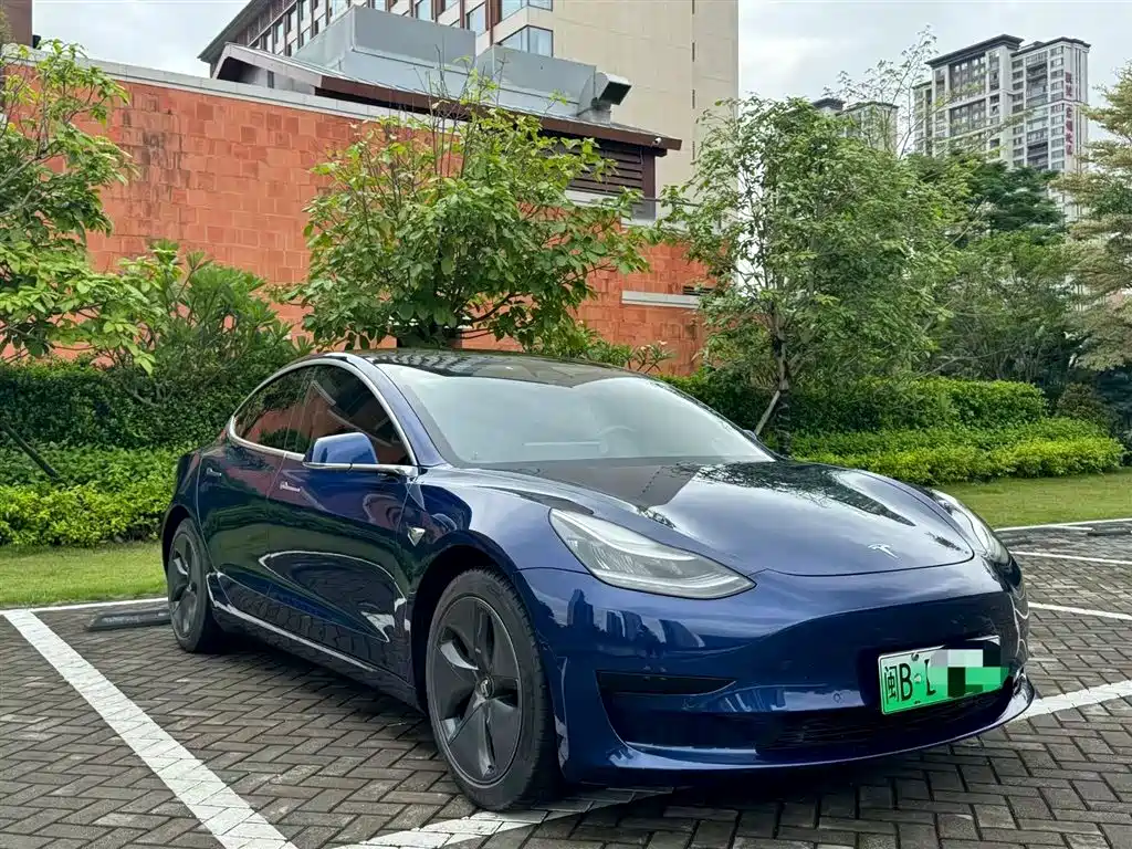 Tesla Model 3 2020 Standard Range Rear-Wheel Drive Upgrade