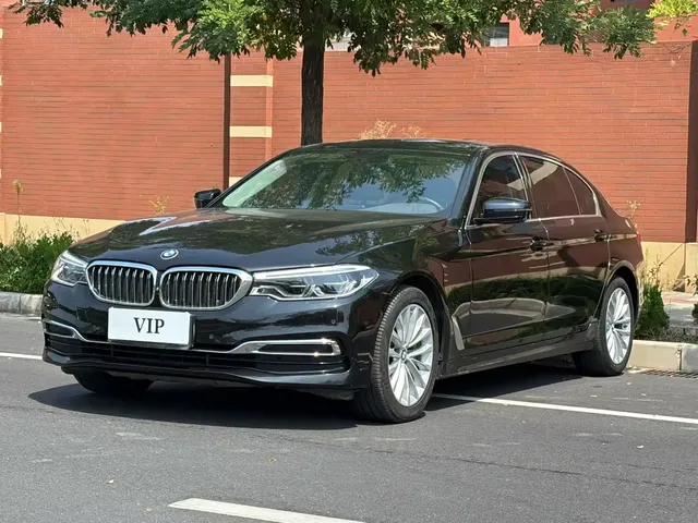 BMW 5 Series 2020 530Li Premium Luxury Package