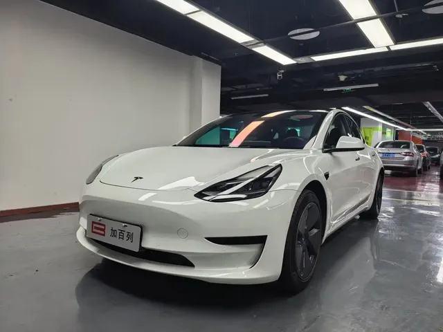 Tesla Model 3 2022 Model Rear-Wheel Drive Version