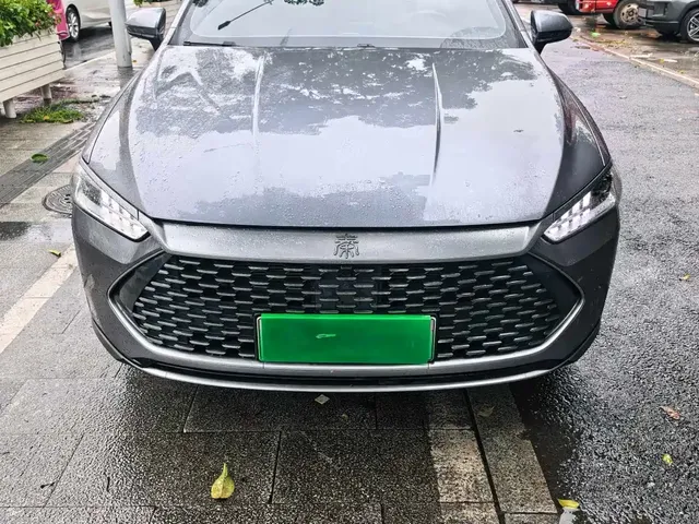 BYD Qin PLUS 2024 Glory Edition DM-i 55KM Leading