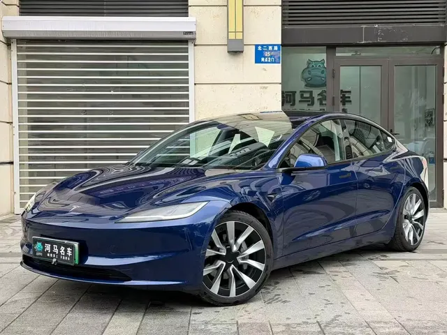 Tesla Model 3 2025 Model Rear-Wheel Drive Edition