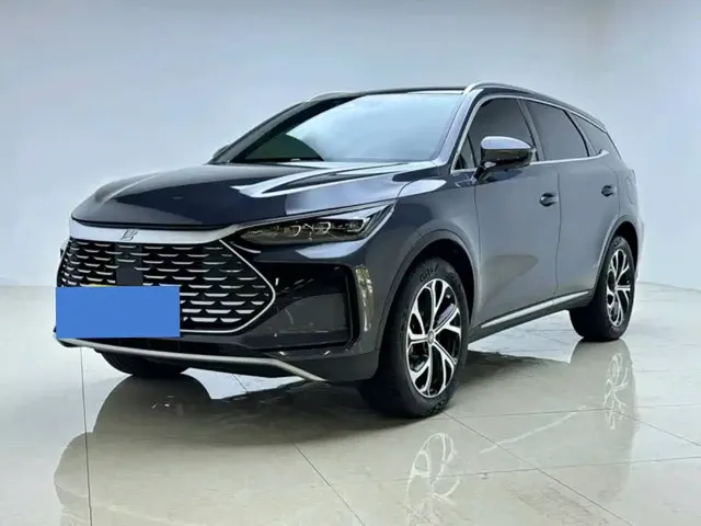 BYD Tang New Energy 2025 DM-i 115KM Premium