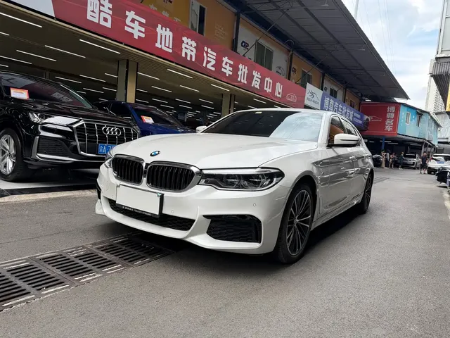 BMW 5 Series 2020 530Li Leading M Sport Package