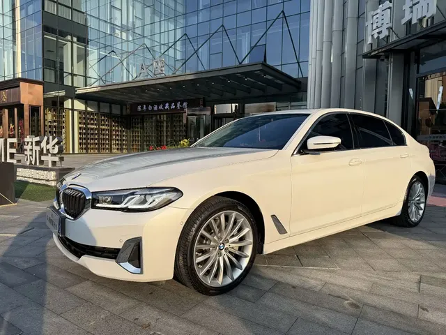 BMW 5 Series 2021 530Li Premium Luxury Package