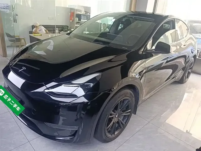 Tesla Model Y 2021 Standard Range Rear-Wheel Drive