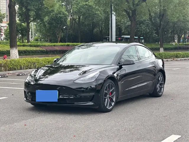 Tesla Model 3 2021 Performance High-Performance All-Wheel Drive