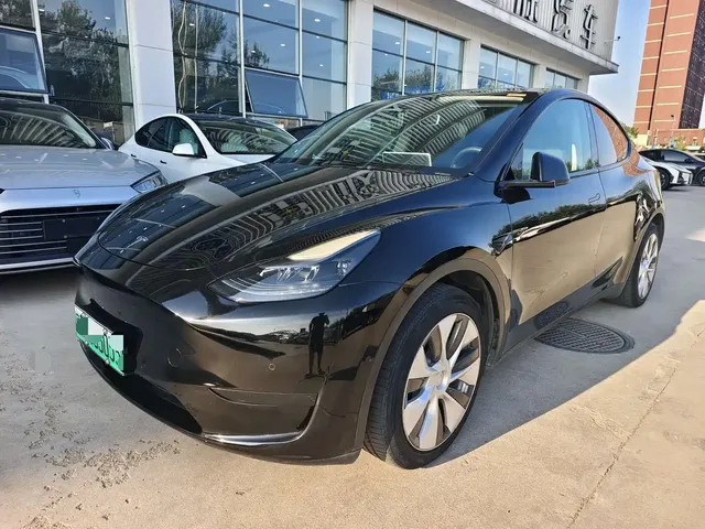 Tesla Model Y 2022 Rear-Wheel Drive Version