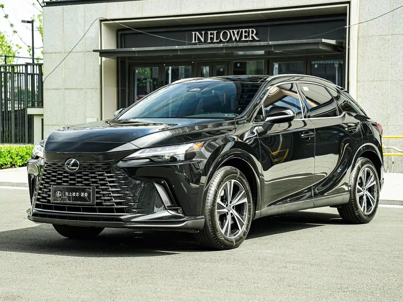 Lexus RX 2023 350h 2WD Comfort Edition
