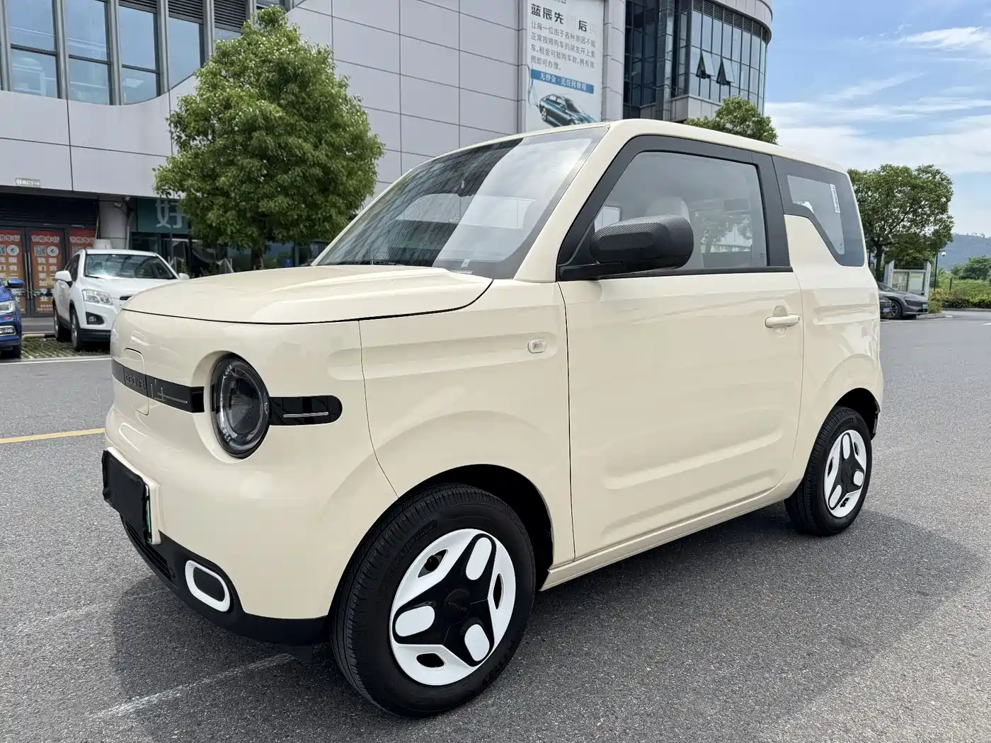 Geely Galaxy Panda 2025 Panda mini 210km Vitality Bear