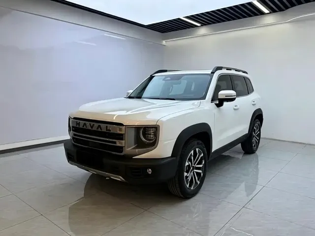 Haval Big Dog 2024 1.5T DCT Border Collie Edition