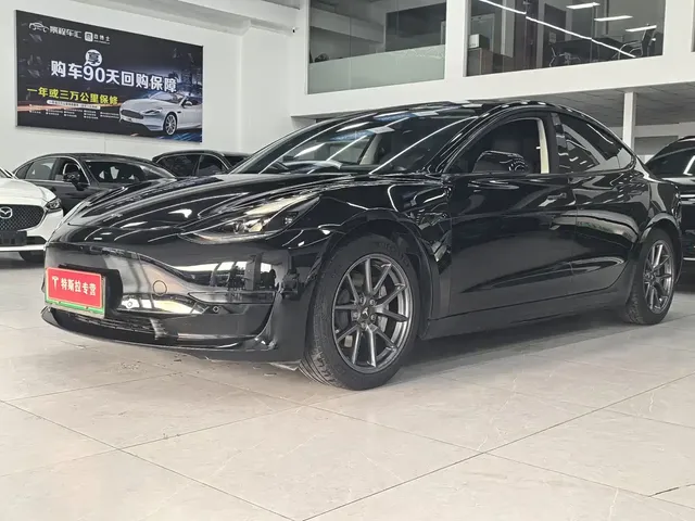 Tesla Model 3 2021 Standard Range Rear-Wheel Drive Upgrade 3D6