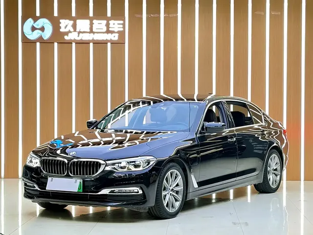 BMW 5 Series New Energy 2019 530Le Luxury Package