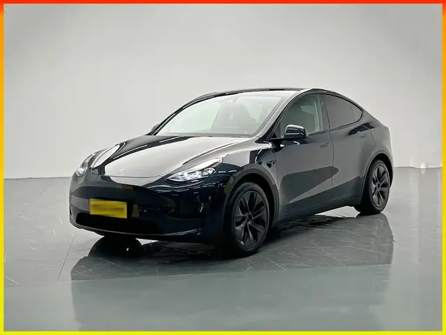 Tesla Model Y 2024 Rear-Wheel Drive Version