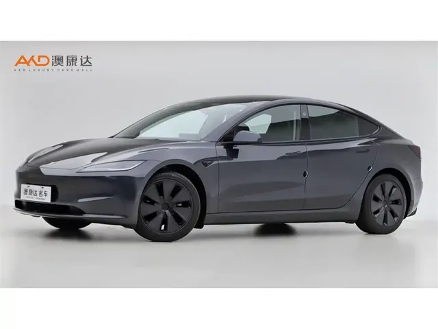 Tesla Model 3 2025 Model Rear-Wheel Drive Edition