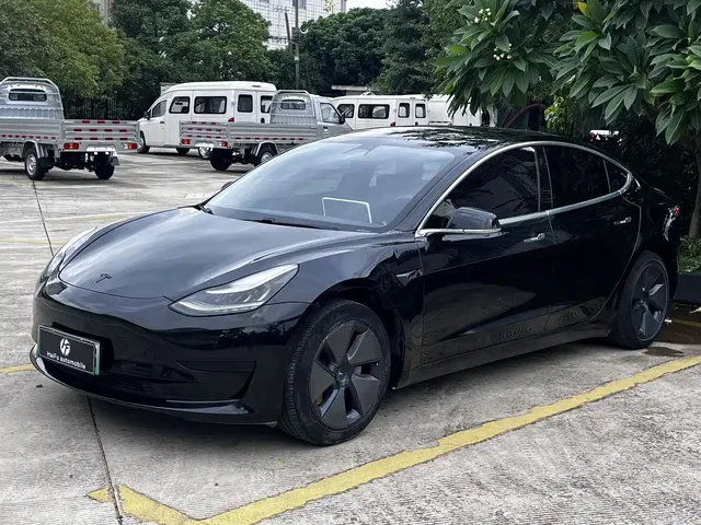 Tesla Model 3 2020 Standard Range Rear-Wheel Drive Upgrade