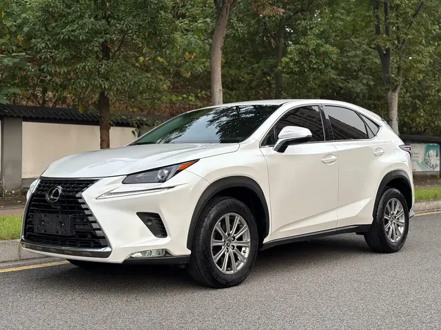 Lexus NX 2018 Model 300 FWD Fengxing Edition