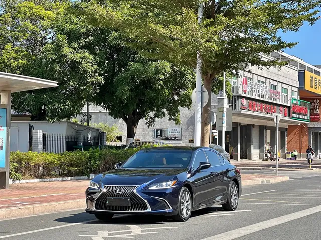 Lexus ES 2021 260 Excellence Edition