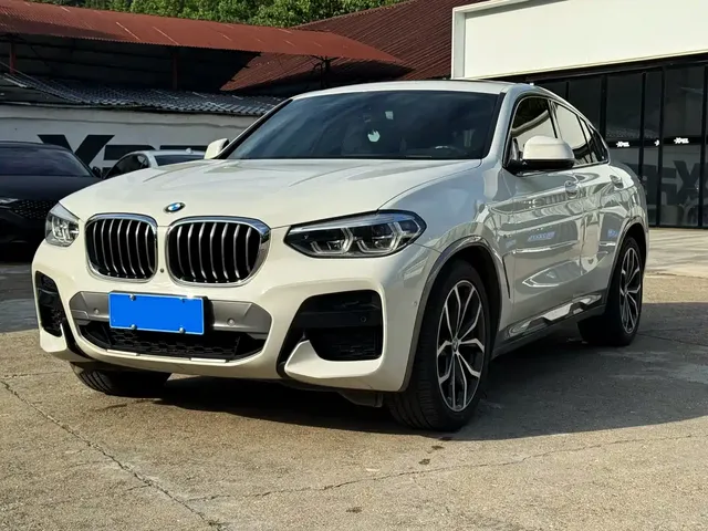 BMW X4 2020 xDrive25i M Off-road Package