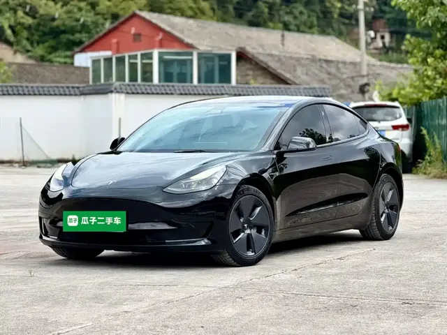 Tesla Model 3 2021 Standard Range Rear-Wheel Drive Upgrade 3D6