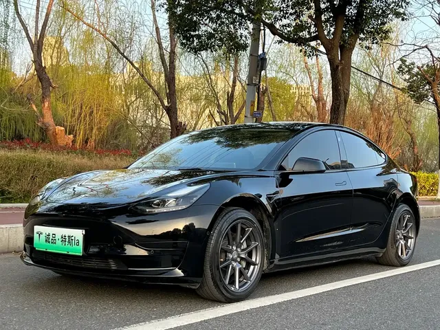 Tesla Model 3 2021 Standard Range Rear-Wheel Drive Upgrade