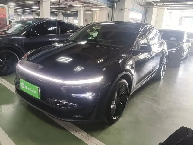 Tesla Model Y 2025 Rear-Wheel Drive