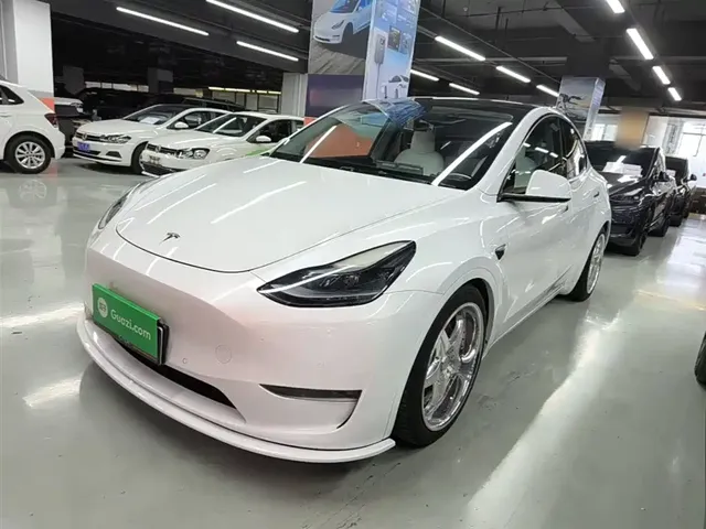 Tesla Model Y 2022 Performance High-Performance All-Wheel Drive Version