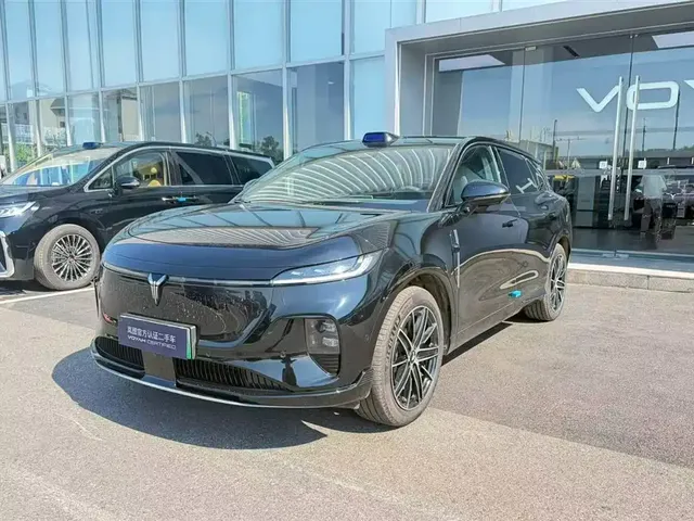 Voyah Auto Voyah Zhiyin 2025 Base