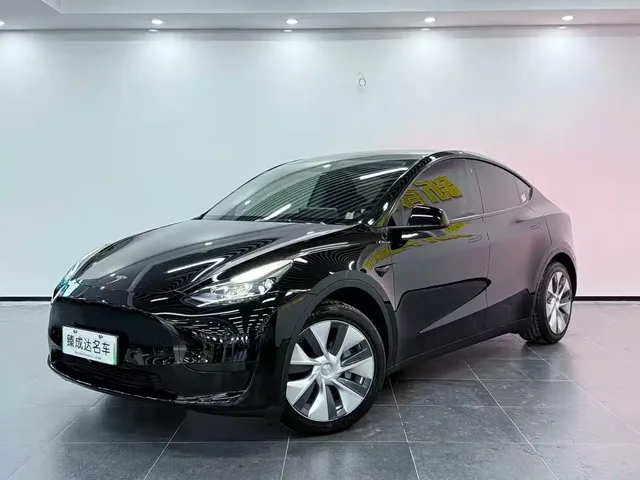 Tesla Model Y 2022 Rear-Wheel Drive Version