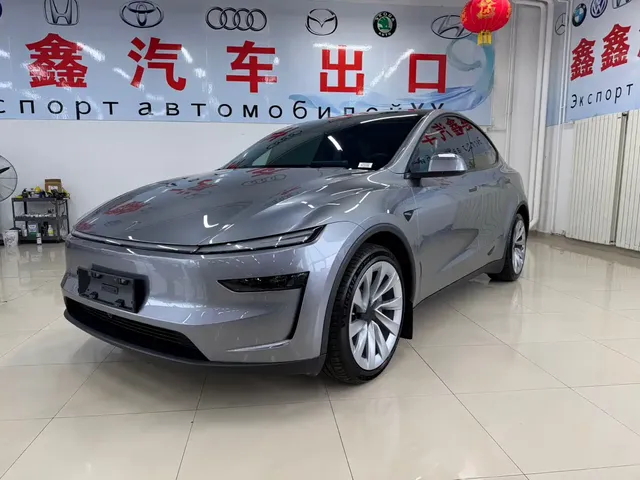 Tesla Model Y 2025 Long Range All-Wheel Drive