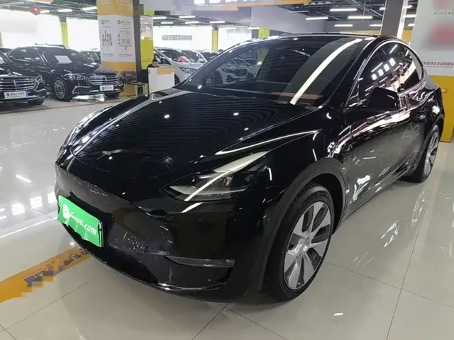 Tesla Model Y 2021 Standard Range Rear-Wheel Drive