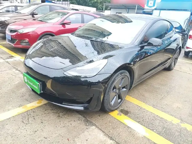 Tesla Model 3 2022 Model Rear-Wheel Drive Version