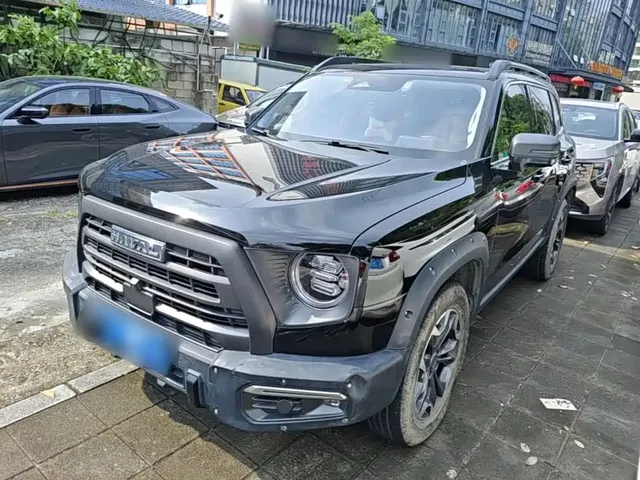 Haval Big Dog 2024 2.0T DCT Chinese Rural Dog Edition