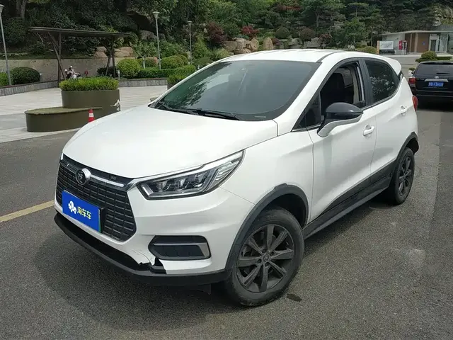 BYD Yuan New Energy 2019 EV535 Smart Connected Trend Leader Type