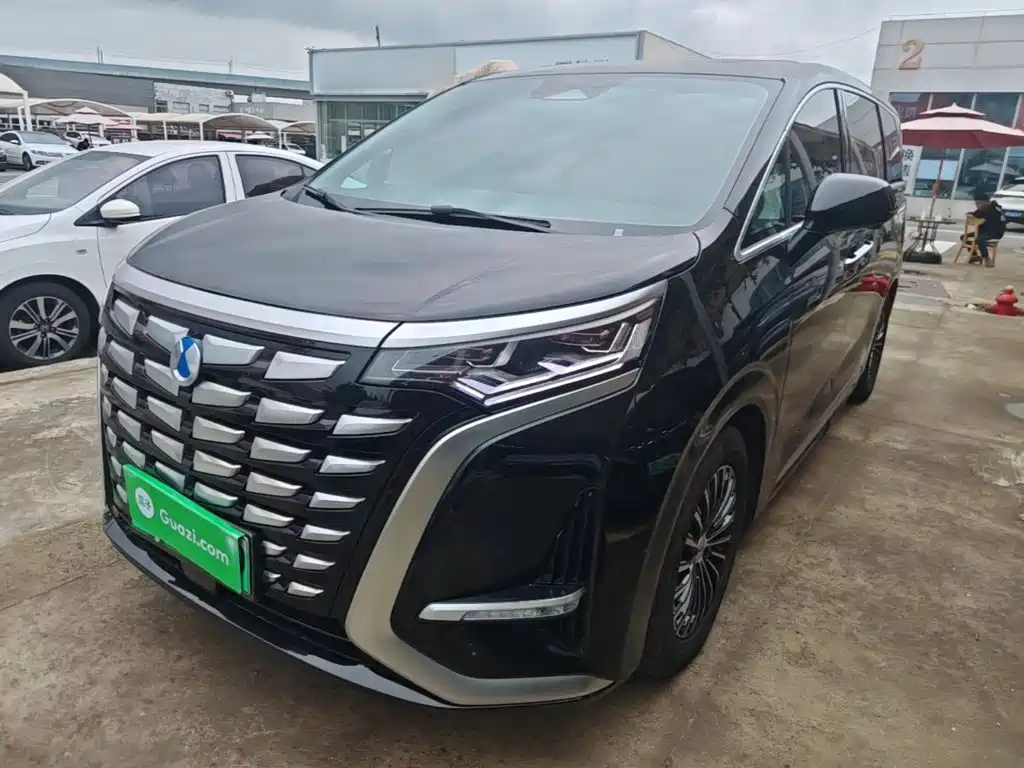Denza D9 2024 DM-i 1050 Premium