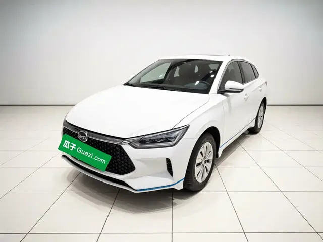 BYD e2 2020 Upgrade Standard Range Standard Model