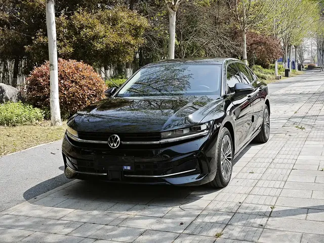 Volkswagen Magotan 2024 380TSI DSG Luxury Edition (Daimai Package)