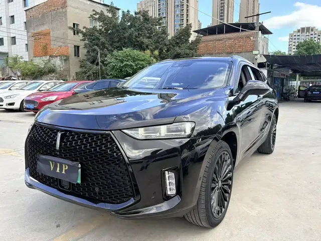 WEY P8 2018 2.0T Flagship Model