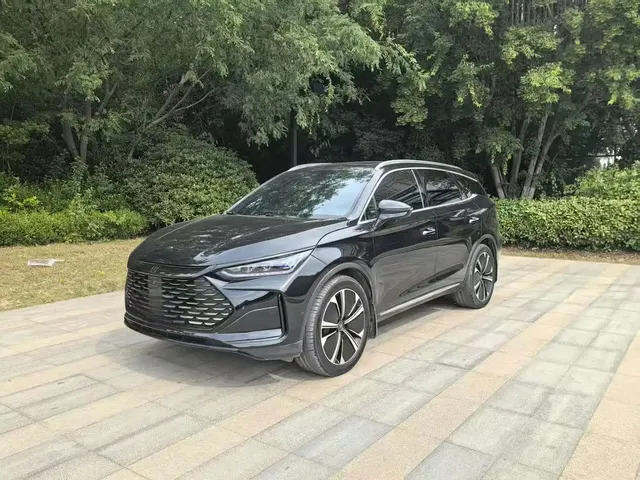 BYD Tang New Energy 2022 DM-p 215KM AWD Flagship