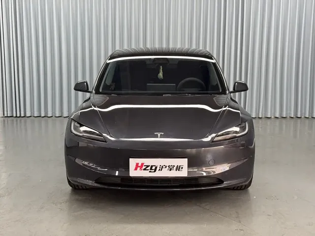 Tesla Model 3 2025 Model Rear-Wheel Drive Edition